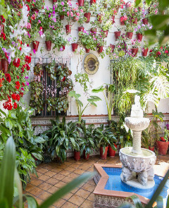 Guided tour  Patios Popular  of Cordoba